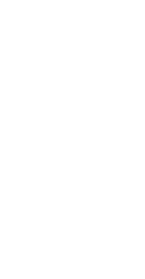 Logo White